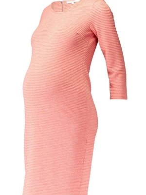 Sukienka z dżerseju Noppies