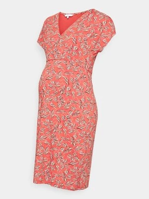 Sukienka z dżerseju Noppies