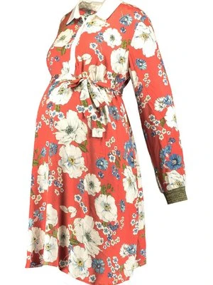 Sukienka z dżerseju Paulina