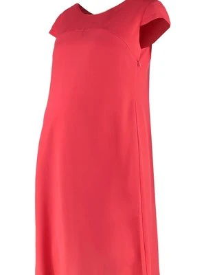 Sukienka z dżerseju Pomkin