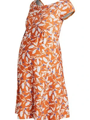 Sukienka z dżerseju Pomkin