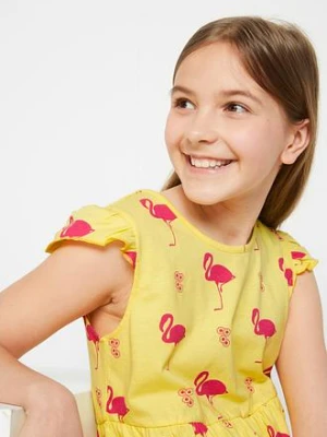 Sukienka z dżerseju z czystej bawełny organicznej (2 szt.) bonprix