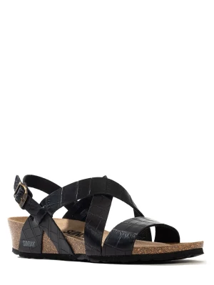 Sunbay Sandały "Bini" w kolorze czarnym na koturnie rozmiar: 37