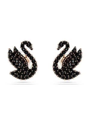 Swarovski kolczyki SWAN