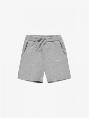 Sweat Shorts Baza Gray Kids