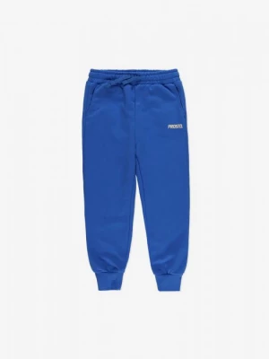 Sweatpants Baza Blue Kids