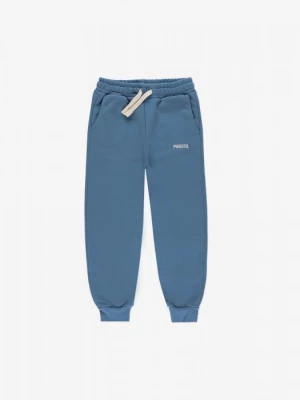 Sweatpants Baza Blue Kids