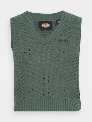 Zdjęcie produktu Sweter Dickies jasnozielony