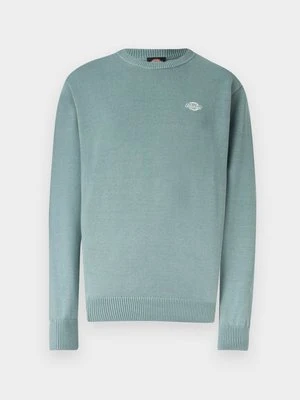 Sweter Dickies jasnoniebieski
