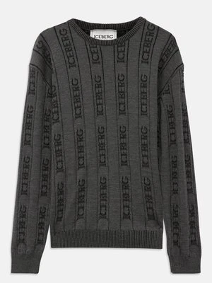 Sweter Iceberg