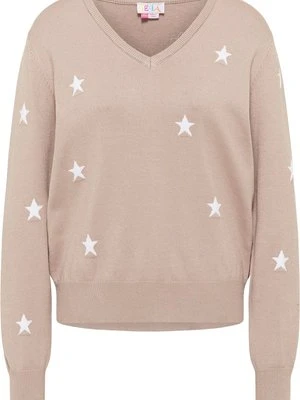 Sweter IZIA