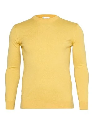 Sweter KnowledgeCotton Apparel