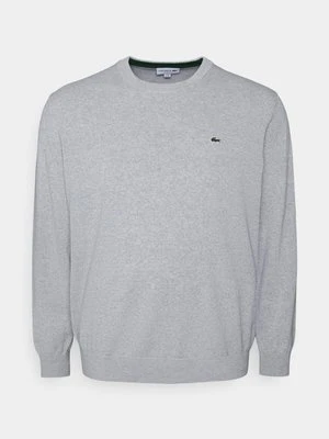 Sweter Lacoste