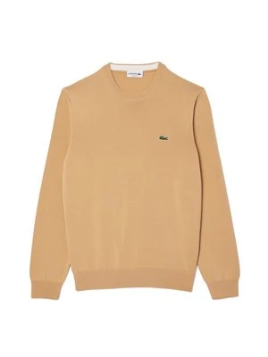 Sweter Lacoste
