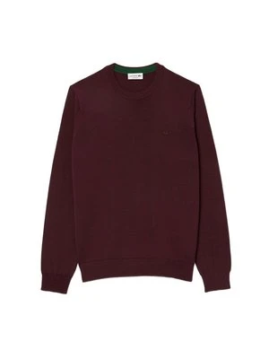 Sweter Lacoste