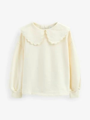 Sweter Next