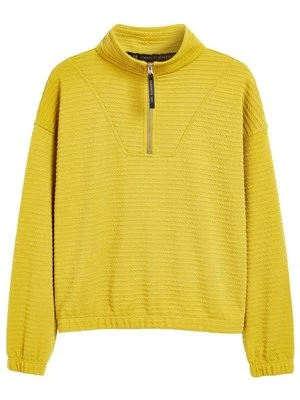 Sweter Next