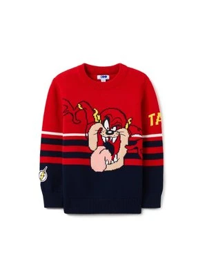 Sweter OVS