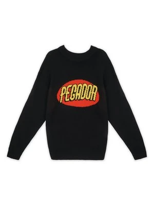 Sweter Pegador