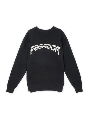 Sweter Pegador