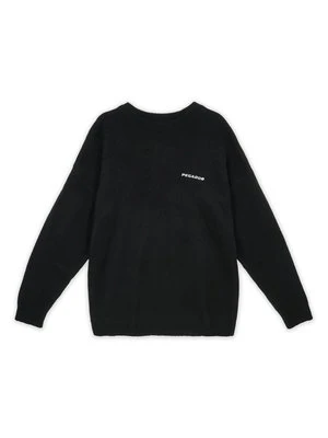 Sweter Pegador