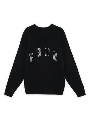 Sweter Pegador