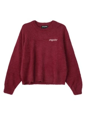 Sweter Pegador