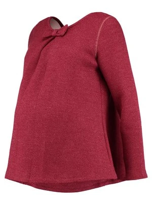 Sweter Pomkin