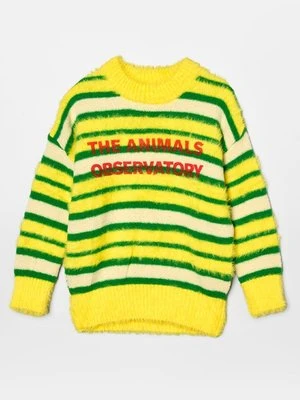 Sweter THE ANIMALS OBSERVATORY