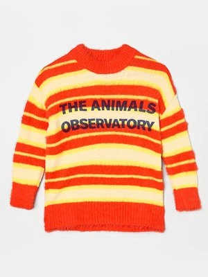 Sweter THE ANIMALS OBSERVATORY