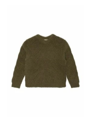 Sweter The New