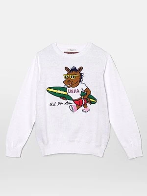 Sweter U.S. Polo Assn.