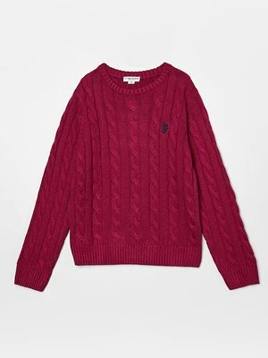 Sweter U.S. Polo Assn.
