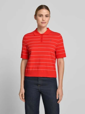 Sweter w kroju regular fit z czystej bawełny z kołnierzykiem polo Tommy Hilfiger Czerwony