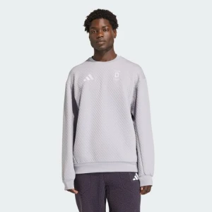 Sweter z zaokrąglonym dekoltem Team D XPLORIC Adidas Glory Grey