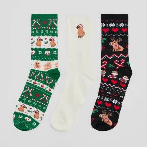 Świąteczne skarpetki z kapibarą 3-pak House