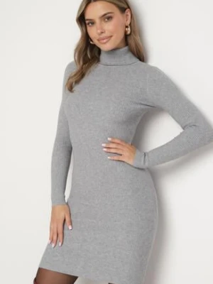 Szara Dopasowana Sukienka z Prążkowanej Dzianiny z Golfem Seralinda glo-story