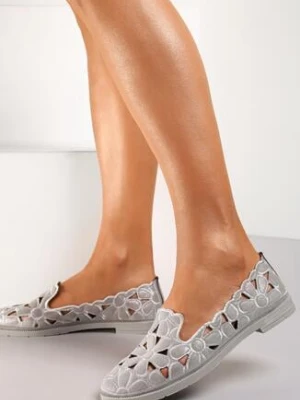 Szare Balerinki Telemeni