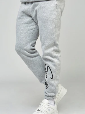 Szare joggery męskie z haftem logo SikSilk