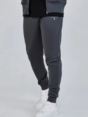 Szare męskie spodnie Essentials Poly Track Pants SikSilk