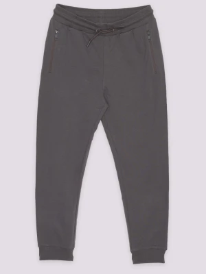 Szare spodnie dresowe Reporter