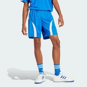 Szorty Adicolor Teamgeist Adidas
