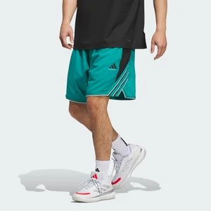 Szorty adidas Crazy Lite