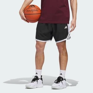 Szorty adidas Crazy Lite