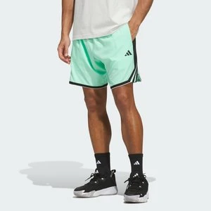 Szorty adidas Crazy Lite Pulse Mint