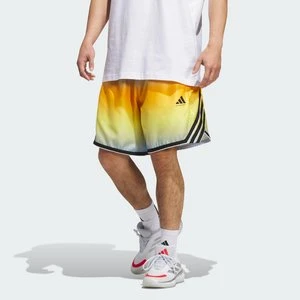 Szorty adidas Crazy Lite AOP