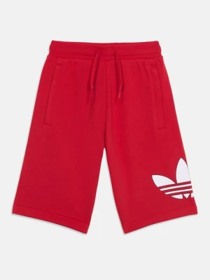 Szorty adidas Originals czerwony