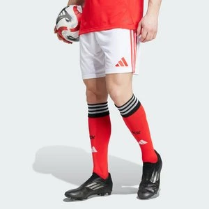 Szorty Benfica 25/26 Home Adidas
