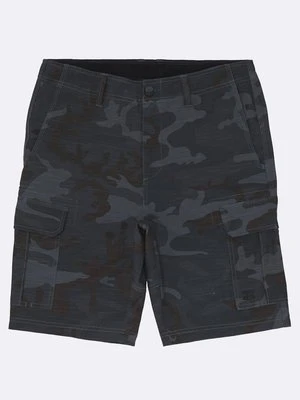 Szorty Billabong