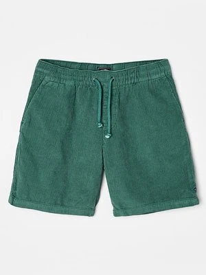 Szorty Billabong